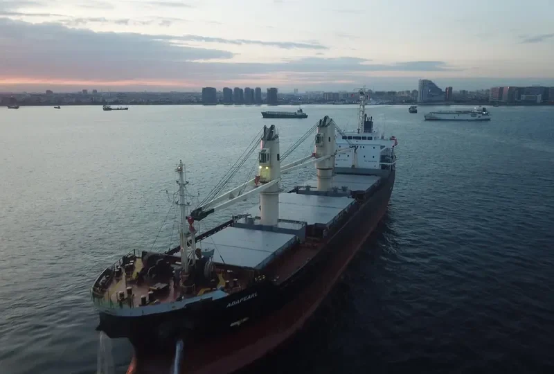 ADAPEARL Bulk Carrier IMO 9539432 photo 10