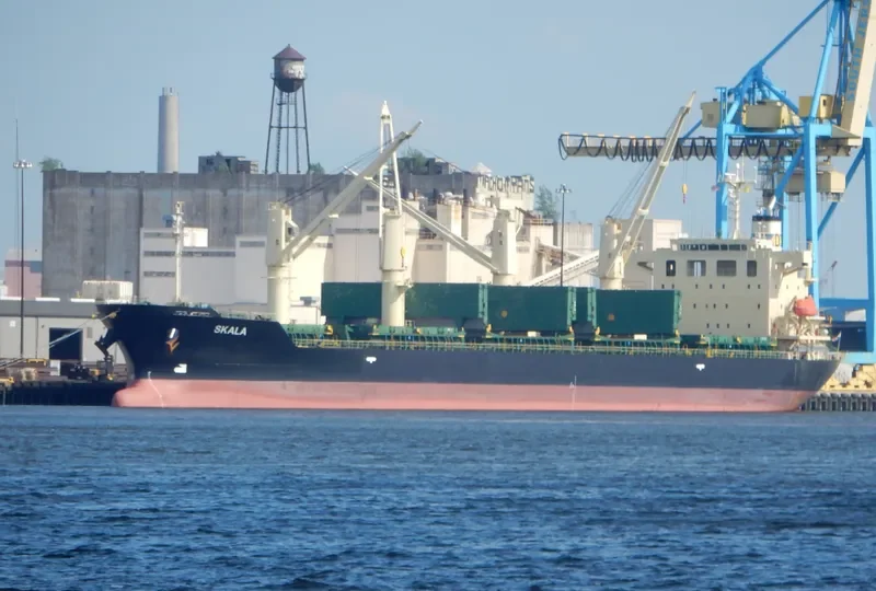 SKALA Bulk Carrier IMO 9539444
