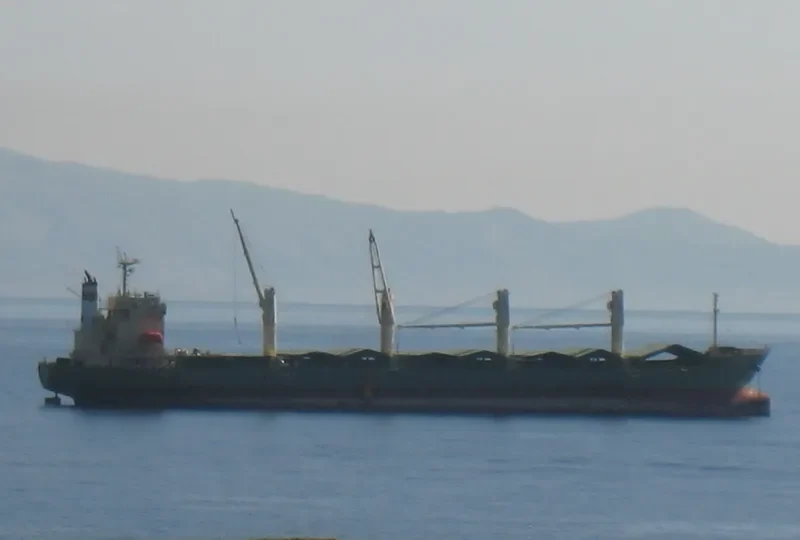 SKALA Bulk Carrier IMO 9539444 photo 2