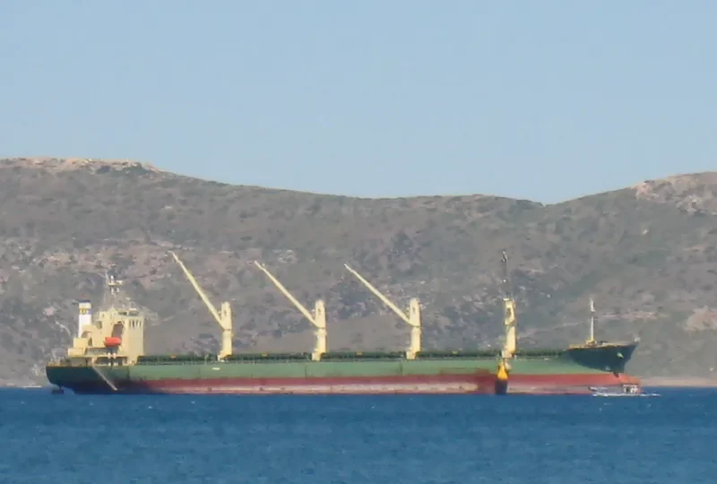 SKALA Bulk Carrier IMO 9539444 photo 3