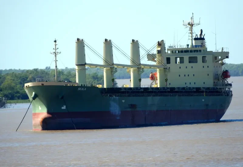 SKALA Bulk Carrier IMO 9539444 photo 4
