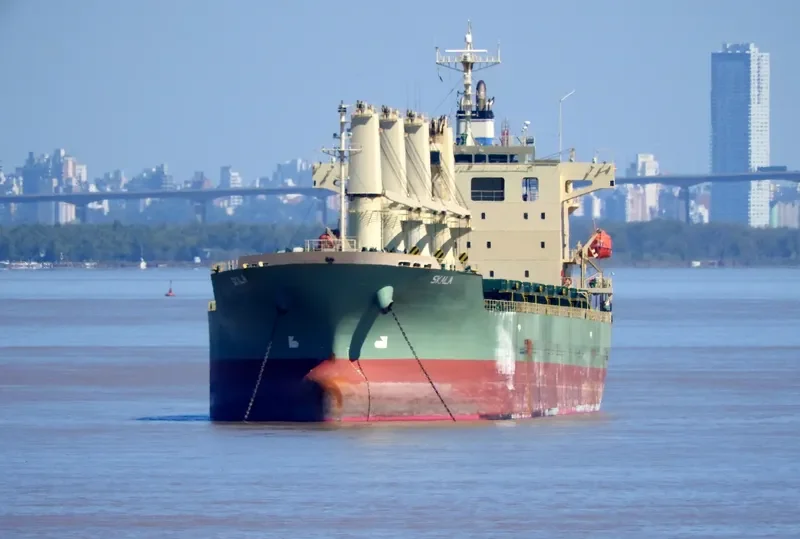 SKALA Bulk Carrier IMO 9539444 photo 6