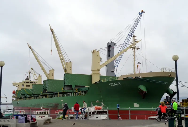 SKALA Bulk Carrier IMO 9539444 photo 10