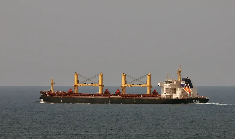 SFL SARA Bulk Carrier IMO 9539834 photo 2