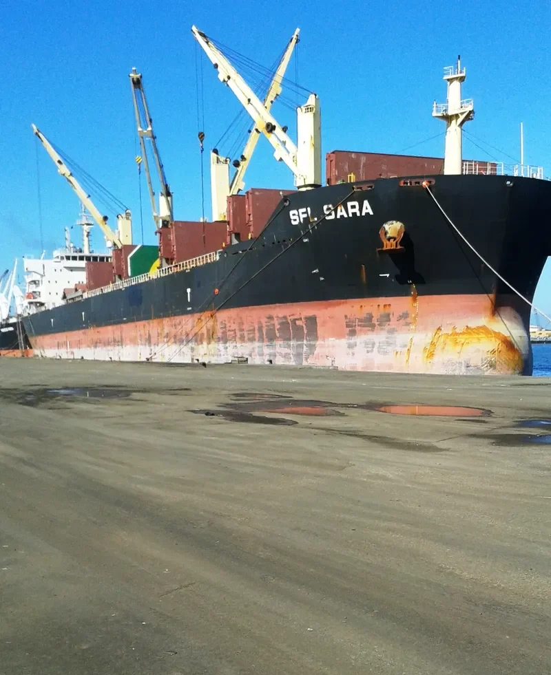 SFL SARA Bulk Carrier IMO 9539834 photo 4