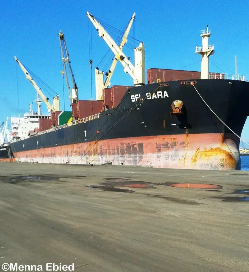 SFL SARA Bulk Carrier IMO 9539834 photo 5