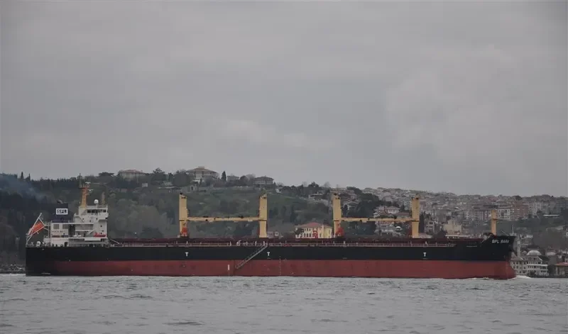 SFL SARA Bulk Carrier IMO 9539834 photo 6