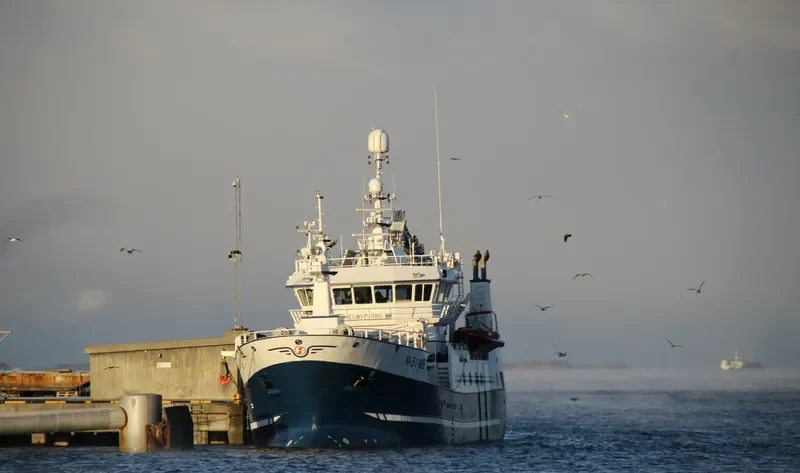 MELOYFJORD General Cargo IMO 9539884 photo 2