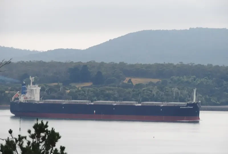 SHANGHAI EXPRESS Bulk Carrier IMO 9539963 photo 2