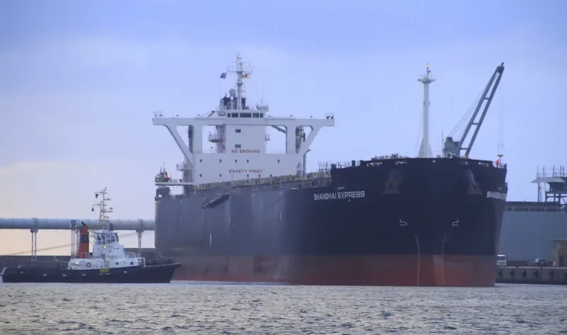 SHANGHAI EXPRESS Bulk Carrier IMO 9539963 photo 3
