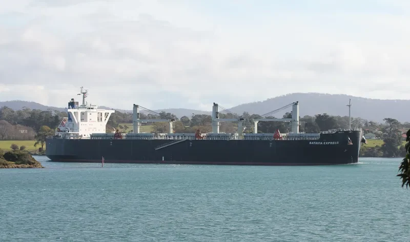 BATAVIA EXPRESS Bulk Carrier IMO 9539987 photo 2