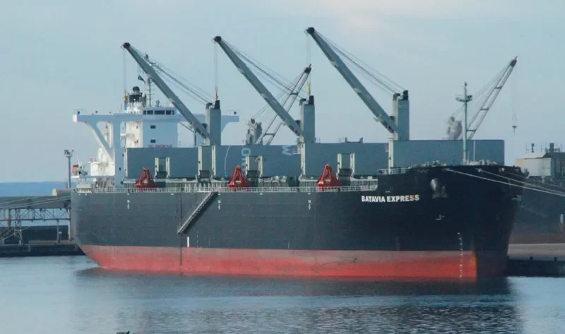 BATAVIA EXPRESS Bulk Carrier IMO 9539987 photo 6