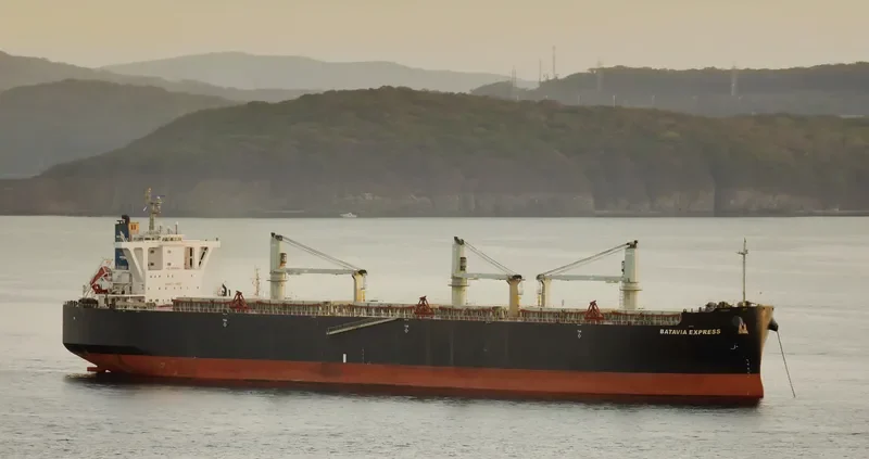 BATAVIA EXPRESS Bulk Carrier IMO 9539987 photo 8
