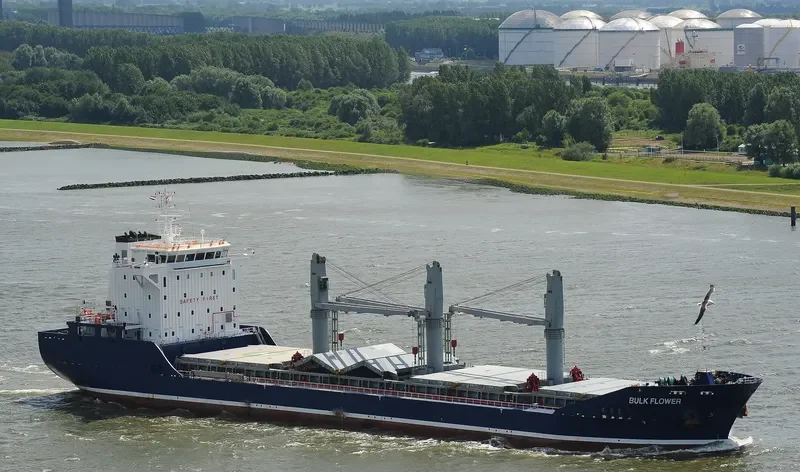 BULK FLOWER Bulk Carrier IMO 9540168 photo 3