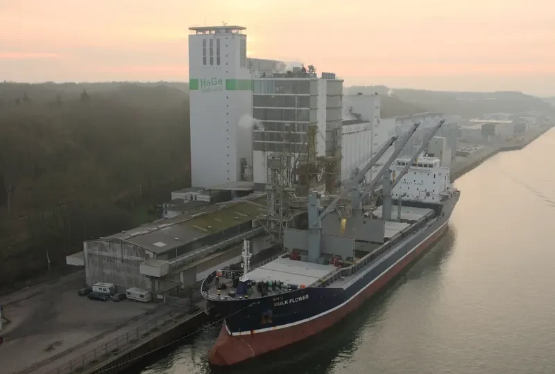 BULK FLOWER Bulk Carrier IMO 9540168 photo 4