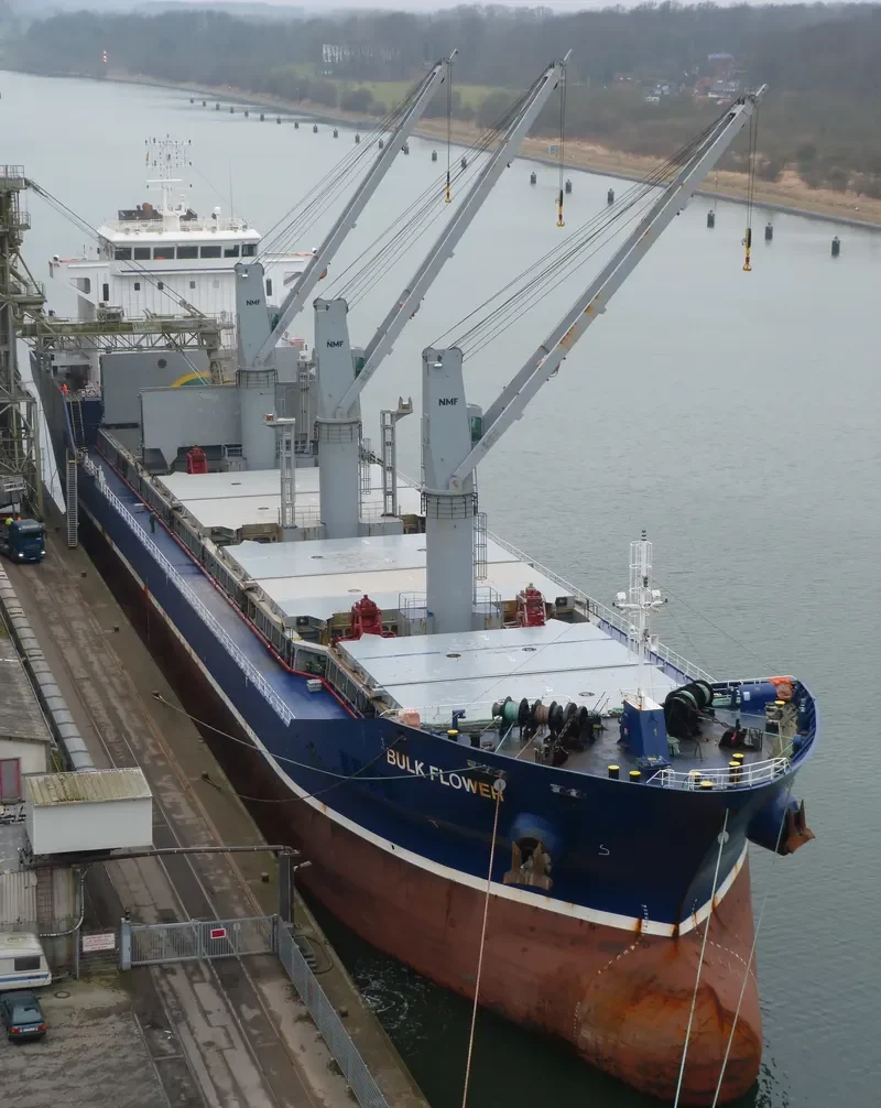 BULK FLOWER Bulk Carrier IMO 9540168 photo 6