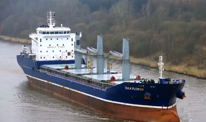 BULK FLOWER Bulk Carrier IMO 9540168 photo 7