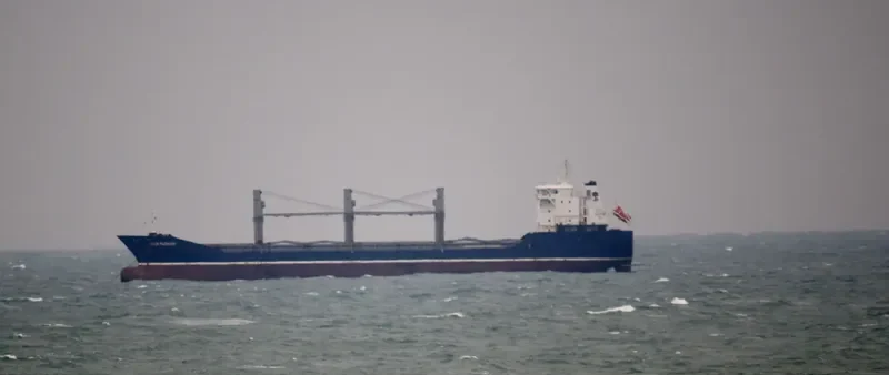 BULK FLOWER Bulk Carrier IMO 9540168 photo 10