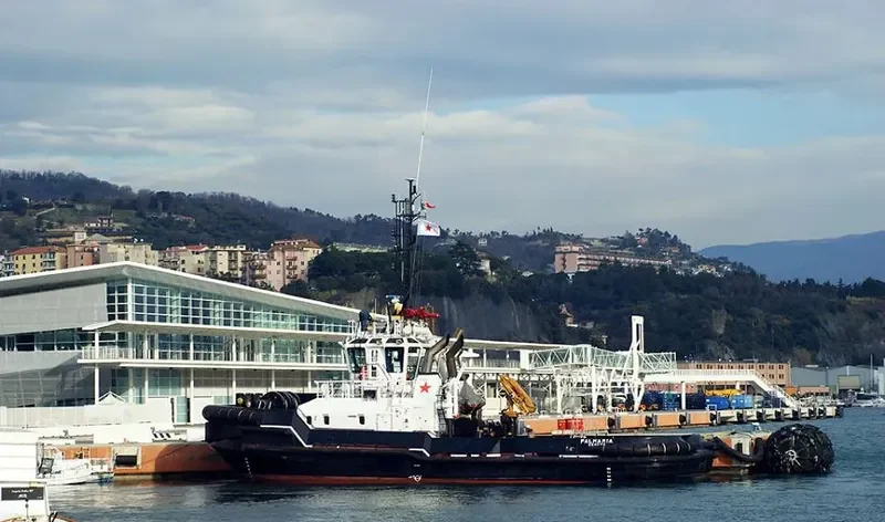 PALMARIA General Cargo IMO 9540388 photo 2
