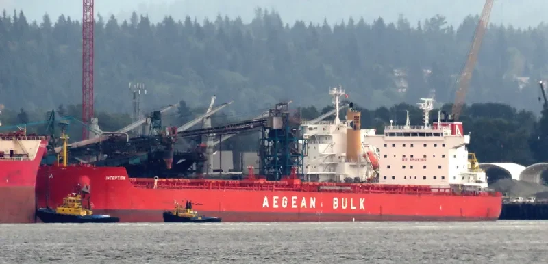 INCEPTION Bulk Carrier IMO 9540481 photo 2