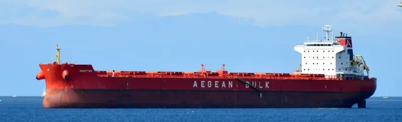 INCEPTION Bulk Carrier IMO 9540481 photo 5