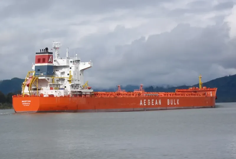 INCEPTION Bulk Carrier IMO 9540481 photo 10