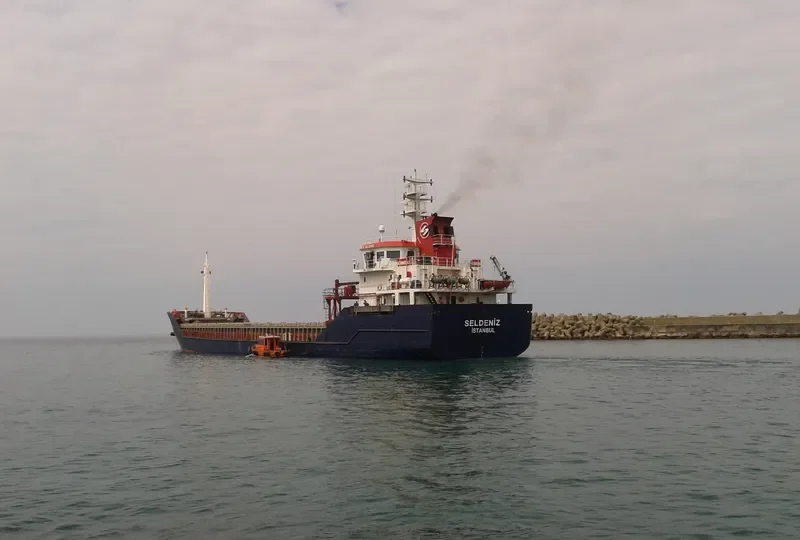 SELDENIZ General Cargo IMO 9540601
