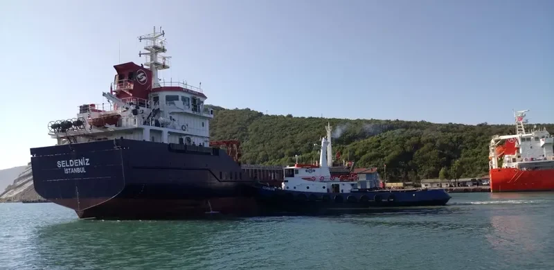 SELDENIZ General Cargo IMO 9540601 photo 3