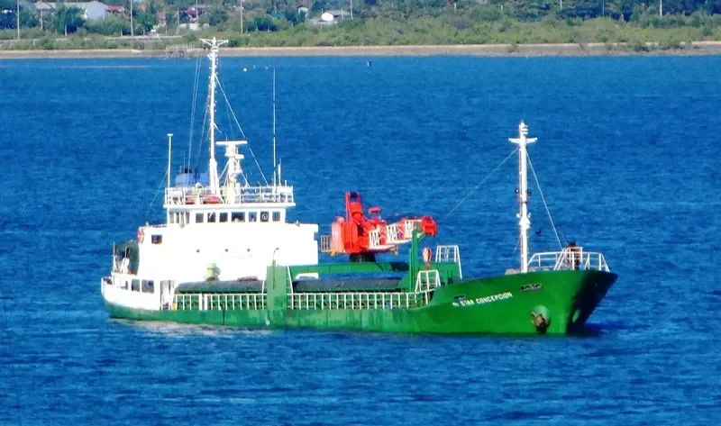 XIN HAI 89 General Cargo IMO 9540704 photo 2