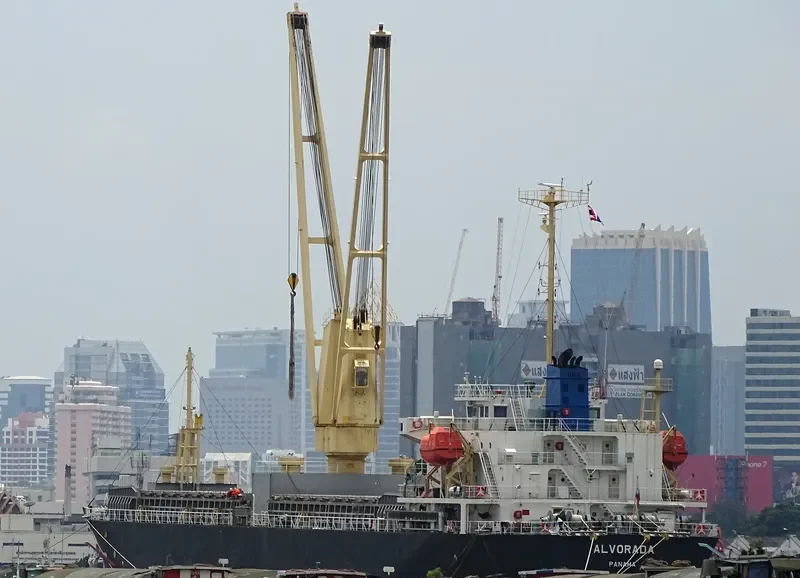 VIOLET ACE General Cargo IMO 9540728 photo 2