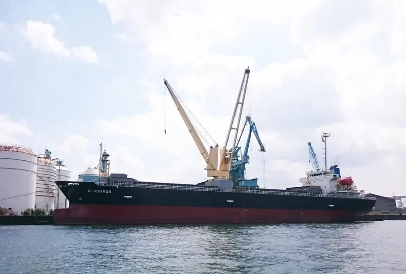 VIOLET ACE General Cargo IMO 9540728 photo 3