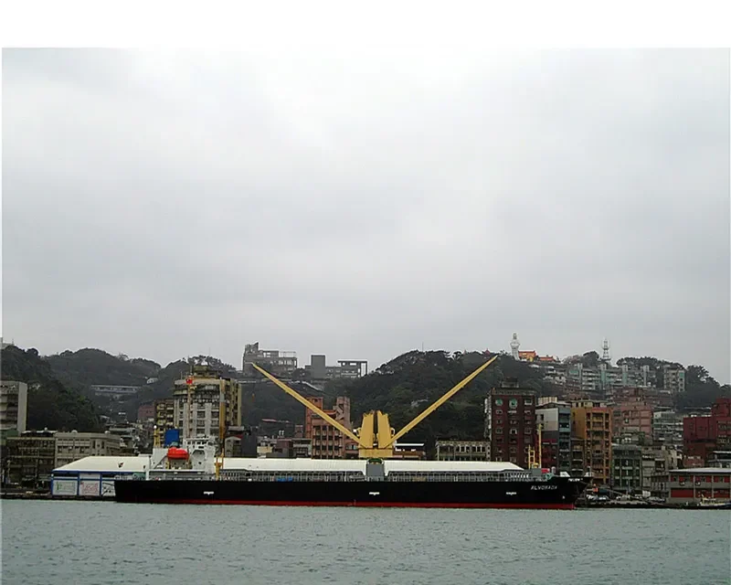 VIOLET ACE General Cargo IMO 9540728 photo 5