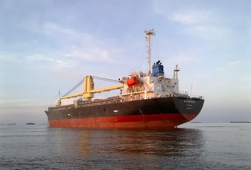 VIOLET ACE General Cargo IMO 9540728 photo 7