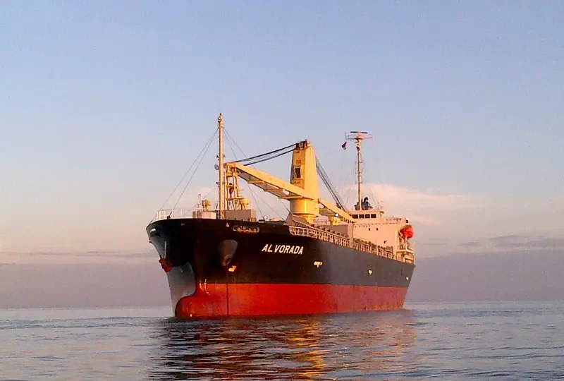 VIOLET ACE General Cargo IMO 9540728 photo 8
