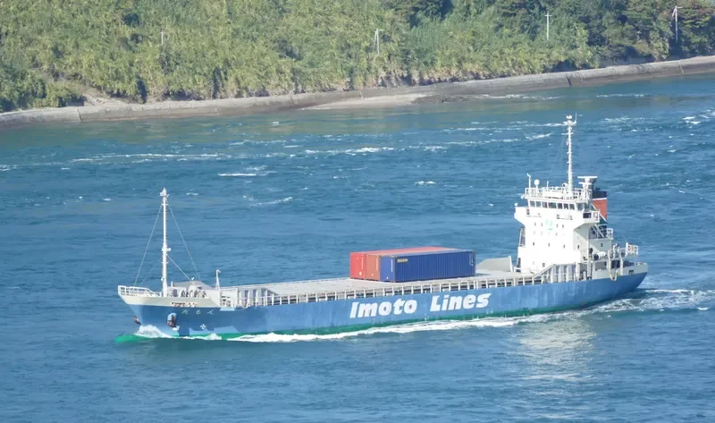 TAMON General Cargo IMO 9540974 photo 3