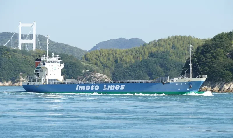 TAMON General Cargo IMO 9540974 photo 5