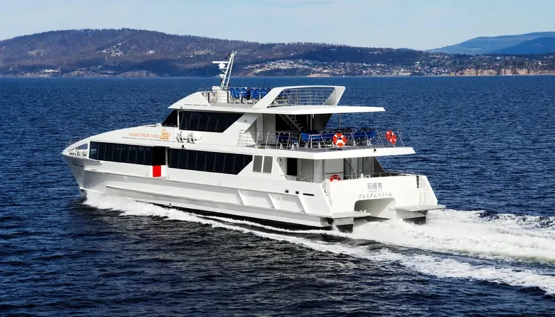 PREMIUM DREAM Passenger Ship IMO 9541007 photo 3