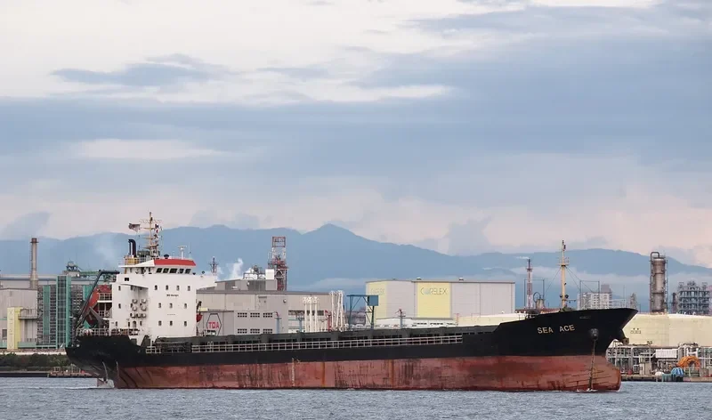 EVER BLOSSOM General Cargo IMO 9541071 photo 3