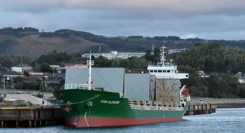EVER BLOSSOM General Cargo IMO 9541071 photo 7