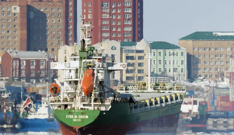 EVER BLOSSOM General Cargo IMO 9541071 photo 8
