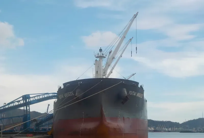 UNION GLORY Bulk Carrier IMO 9541631 photo 3