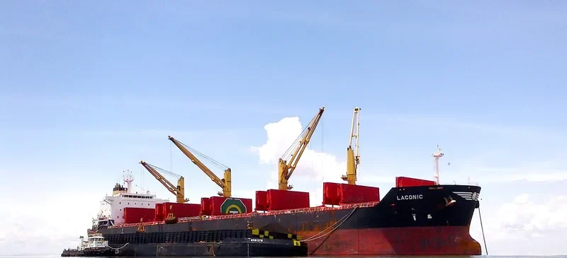 ZHEN XIANG 9 Bulk Carrier IMO 9541825