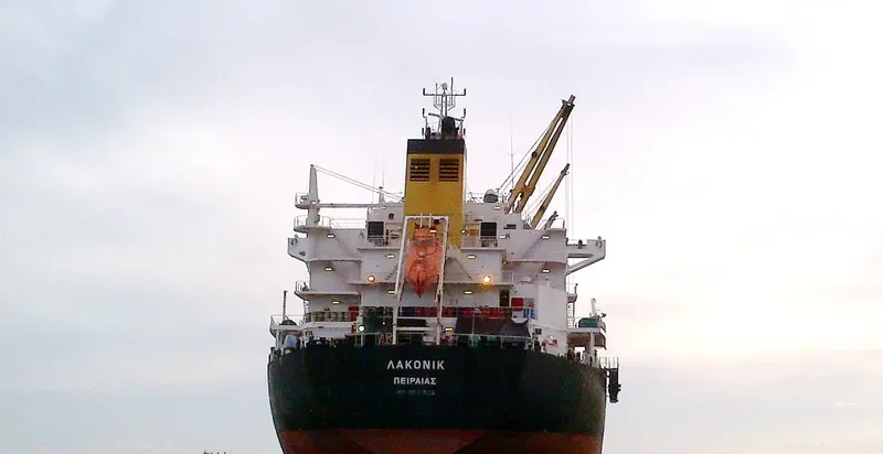 ZHEN XIANG 9 Bulk Carrier IMO 9541825 photo 3