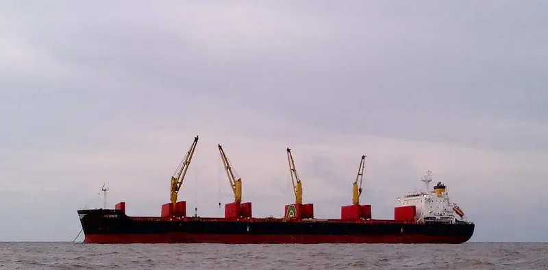 ZHEN XIANG 9 Bulk Carrier IMO 9541825 photo 6