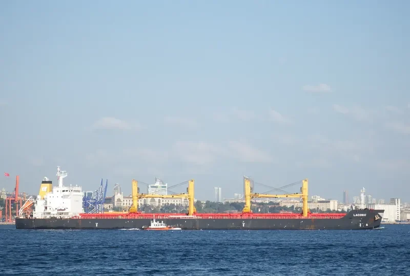 ZHEN XIANG 9 Bulk Carrier IMO 9541825 photo 9