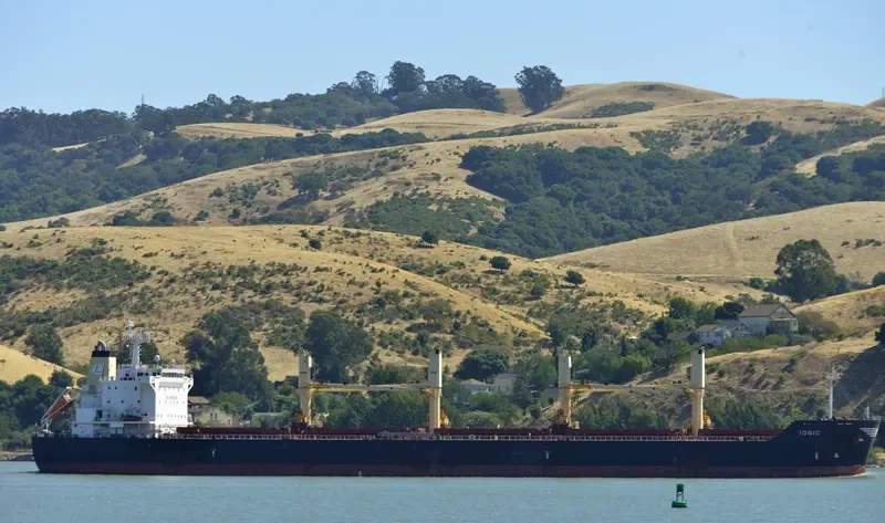 IONIC Bulk Carrier IMO 9541849
