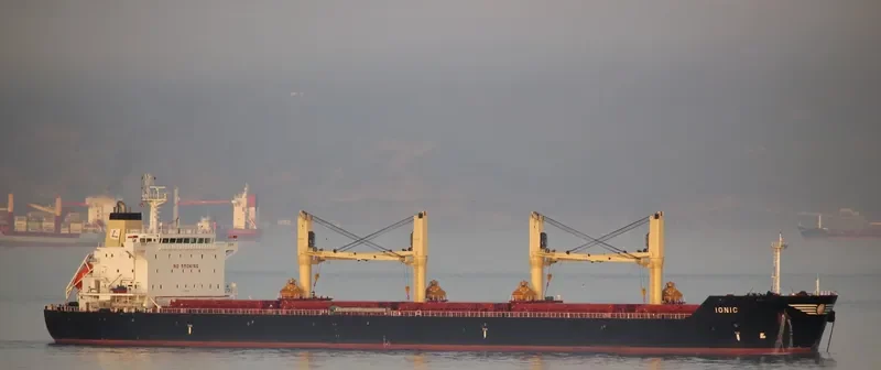 IONIC Bulk Carrier IMO 9541849 photo 2