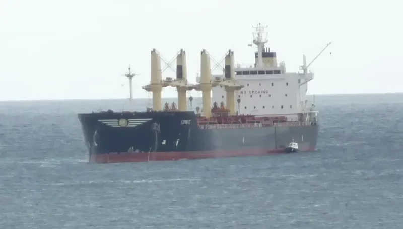 IONIC Bulk Carrier IMO 9541849 photo 3