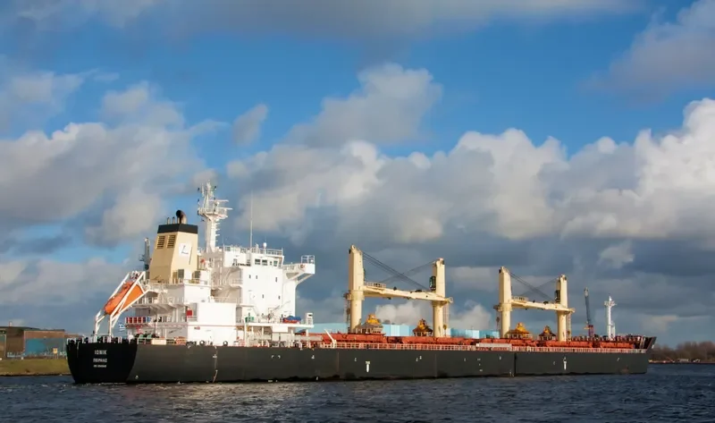 IONIC Bulk Carrier IMO 9541849 photo 6