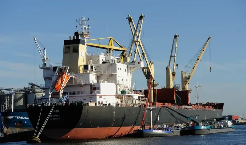 IONIC Bulk Carrier IMO 9541849 photo 10
